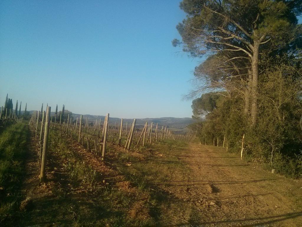 Argiano Dimore Wine Relais Luaran gambar