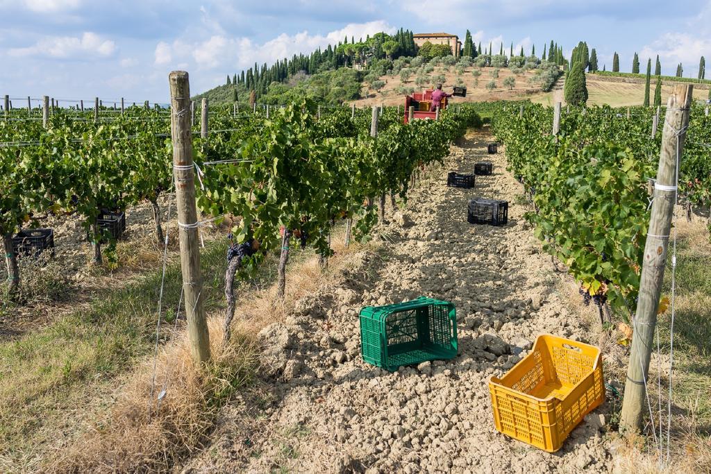 Argiano Dimore Wine Relais Luaran gambar
