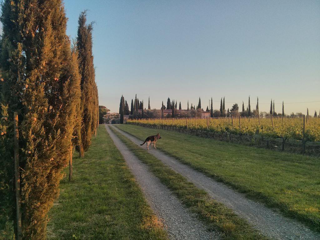 Argiano Dimore Wine Relais Luaran gambar